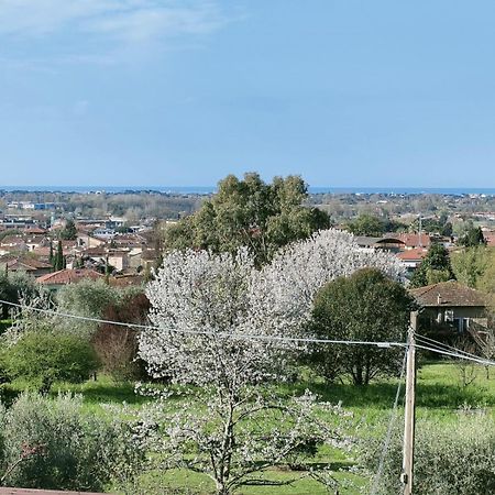 Casa Bianca Villa Pietrasanta Eksteriør billede